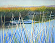 Rush Ranch Serene Marsh