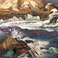 bird rock
