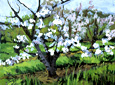 Orchard Bloom