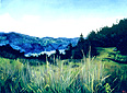 Pepperwood Ranch Preserve