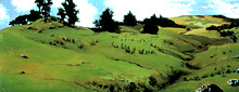 Pepperwood Hills Spring