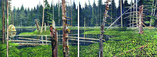 Lake Where the Ravens Live