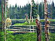 The Lake Where the Ravens Live