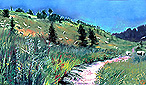 Rount Top Mountain Trail