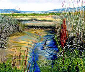 San Pablo Bay Wetlands