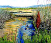 San Pablo Bay Wetlands