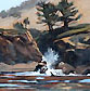 Splash at whalers Cove Point Lobos