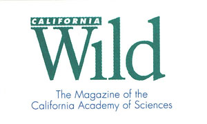 California Wild